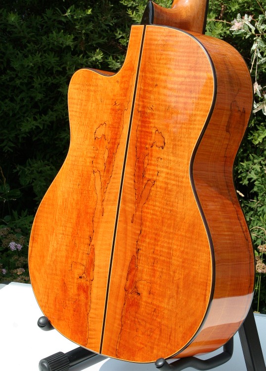 WELLER KONZERTGITARRE SITKA FICHTEN DECKE SPALTED MAPLE KORPUS CUTAWAY